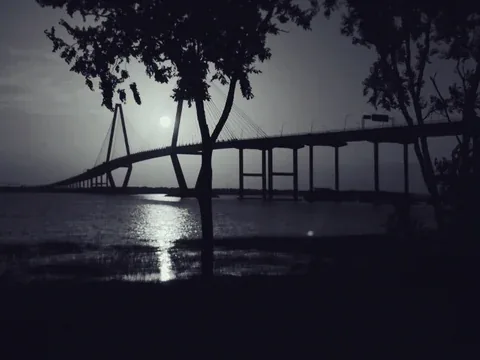 Bridge silhouette framed by trees with sunlight reflected on the water